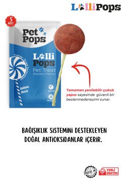 Pet Pops Freeze Dry Lolipop Yaban Mersinli, Kefirli ve Kabaklı Kedi Ödülü