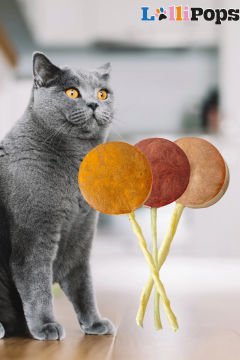 Pet Pops Freeze Dry Lolipop Yaban Mersinli, Kefirli ve Kabaklı Kedi Ödülü 15 li Karışık Paket