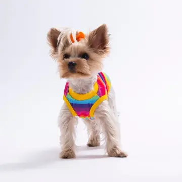 PawStar 26829 Rainbow Tişört