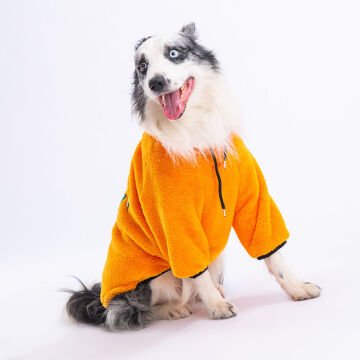 PawStar Sarı Just Be Cool Büyük Irk Sweat