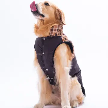 PawStar 25152 Kahverengi Elgin Paws Büyük Irk Yelek