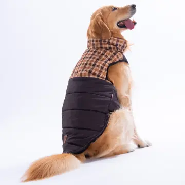 PawStar 25152 Kahverengi Elgin Paws Büyük Irk Yelek