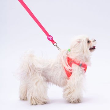 PawStar L03 Neon Pembe Sevk Kayışı