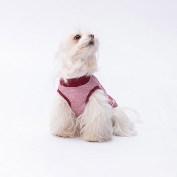 PawStar Pembe Space Time T-Shirt Küçük Irk