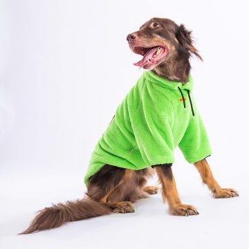 PawStar Yeşil Just Be Cool Büyük Irk Sweat