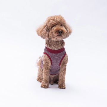 PawStar Bordo Space Time T-Shirt Küçük Irk