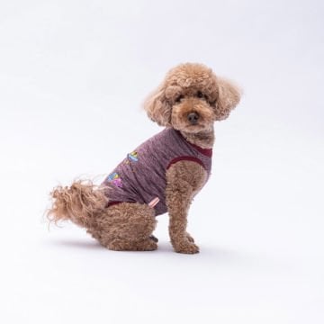 PawStar Bordo Space Time T-Shirt Küçük Irk