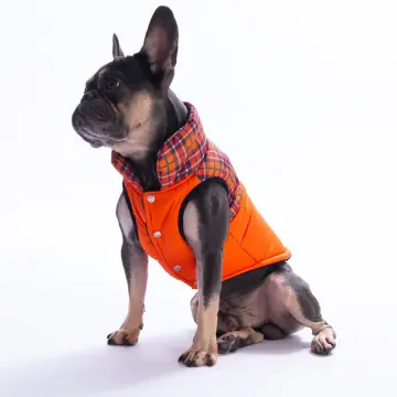 PawStar 25102 Turuncu Elgin Paws Yelek Küçük ve Orta Irk