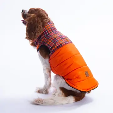 PawStar 25102 Turuncu Elgin Paws Yelek Küçük ve Orta Irk