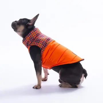 PawStar 25102 Turuncu Elgin Paws Yelek Küçük ve Orta Irk