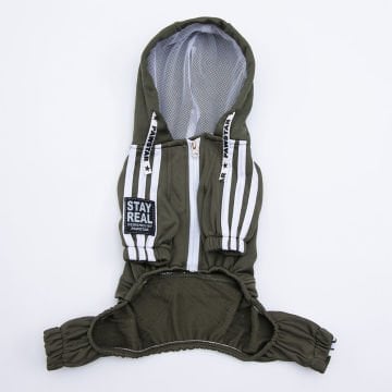 PawStar Haki Tuta Tulum Küçük ve Orta Irk