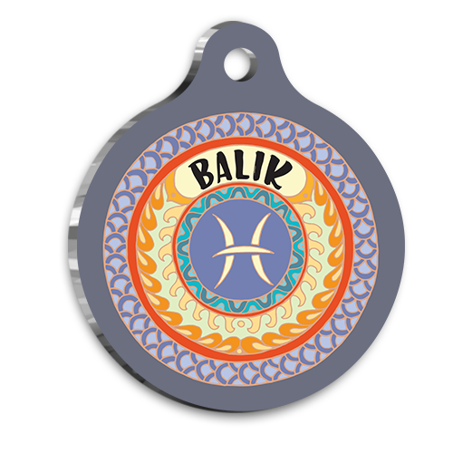 Balık Burcu Kedi köpek Künyesi Small 2 x 3,5 cm