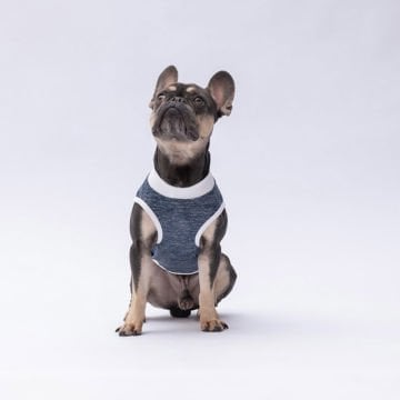PawStar 24827 Lacivert Space Time T-Shirt Küçük Irk