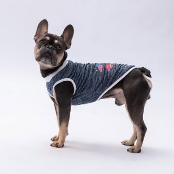 PawStar Lacivert Space Time T-Shirt Küçük Irk