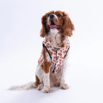 PawStar 25108 Moshi Mood Yelek Küçük ve Orta Irk