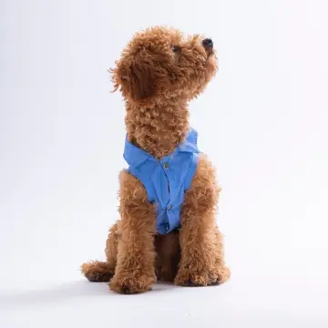 PawStar 26408 Avo Bliss Desenli Denim Gömlek