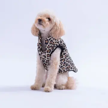 PawStar 25109 Mbeya Gold Yelek Küçük ve Orta Irk