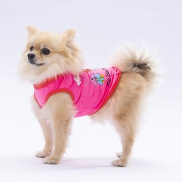 PawStar Neon Pink Be Kind T-Shirt Küçük Irk