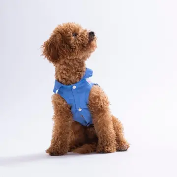 PawStar 26410 Ruby Slice Desenli Denim Gömlek