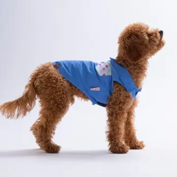 PawStar 26410 Ruby Slice Desenli Denim Gömlek