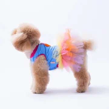 PawStar 25304 Açık Mavi Ice Cream Elbise