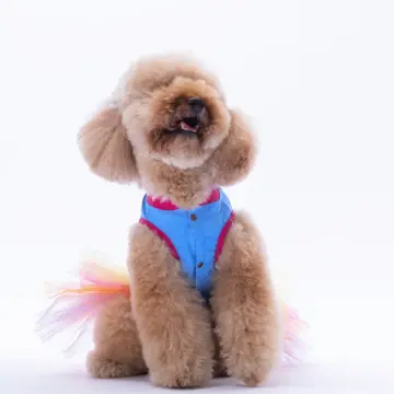 PawStar 25304 Açık Mavi Ice Cream Elbise