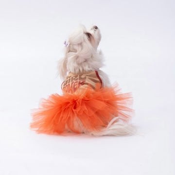 PawStar Bej Girl Power Elbise