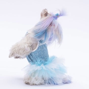 PawStar  Mavi Polka-Dot Elbise