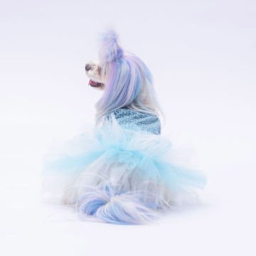 PawStar  Mavi Polka-Dot Elbise