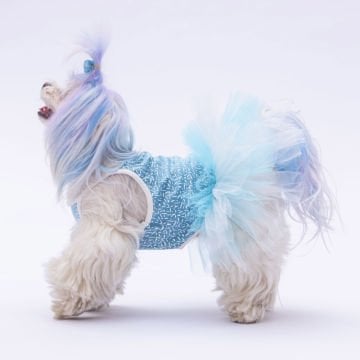 PawStar  Mavi Polka-Dot Elbise