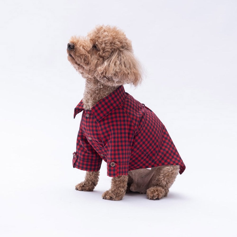 PawStar Kırmızı Luss Gömlek