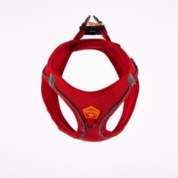 PawStar  Red- Kırmızı Airmesh Köpek Göğüs Tasması