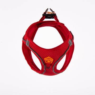 PawStar  Red- Kırmızı Airmesh Köpek Göğüs Tasması