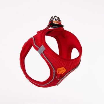PawStar  Red- Kırmızı Airmesh Köpek Göğüs Tasması
