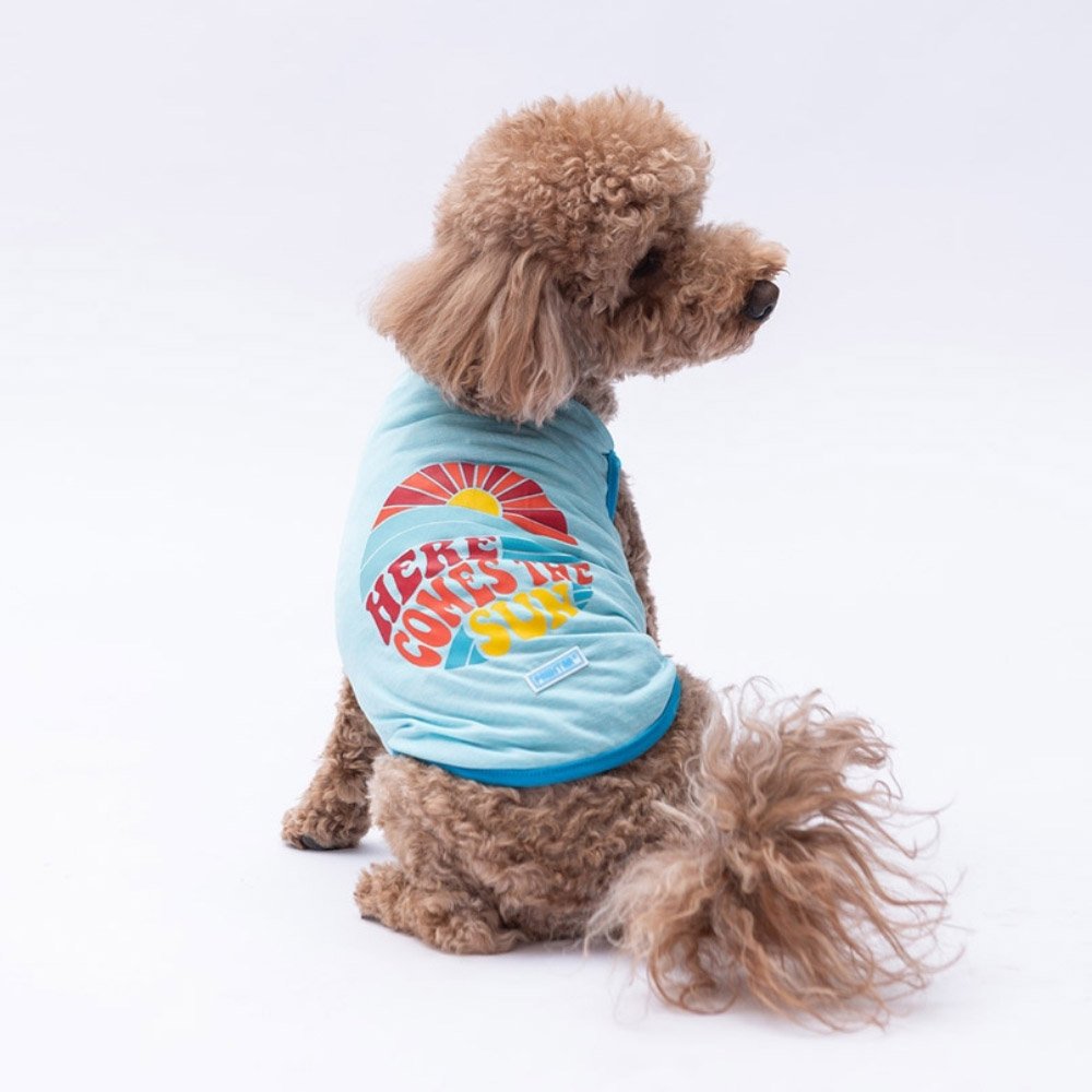 PawStar Mavi The Sun T-Shirt Küçük Irk