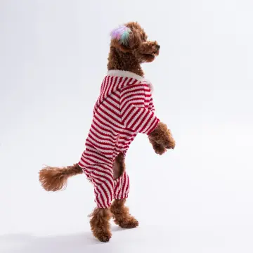 PawStar 25909- Elf Stripe Kapşonlu Tulum