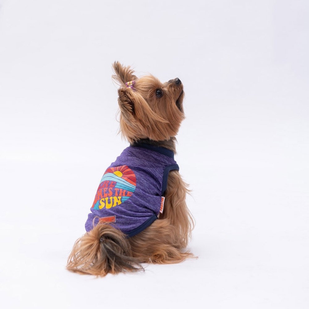 PawStar Mor The Sun T-Shirt Küçük Irk