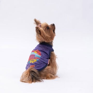 PawStar Mor The Sun T-Shirt Küçük Irk