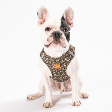 PawStar  Airmesh BrowNossa Göğüs Tasması