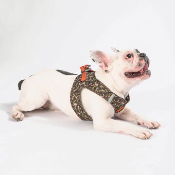 PawStar  Airmesh BrowNossa Göğüs Tasması