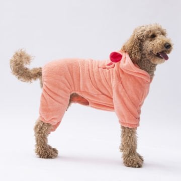 PawStar Somon Koala Büyük Irk Tulum