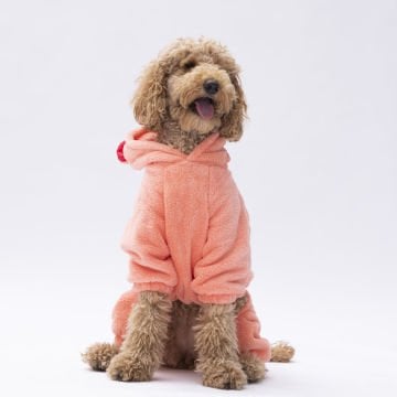 PawStar Somon Koala Büyük Irk Tulum