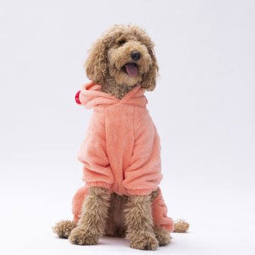 PawStar Somon Koala Büyük Irk Tulum