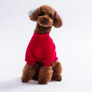 PawStar 25730-Festive Antlers Sweat