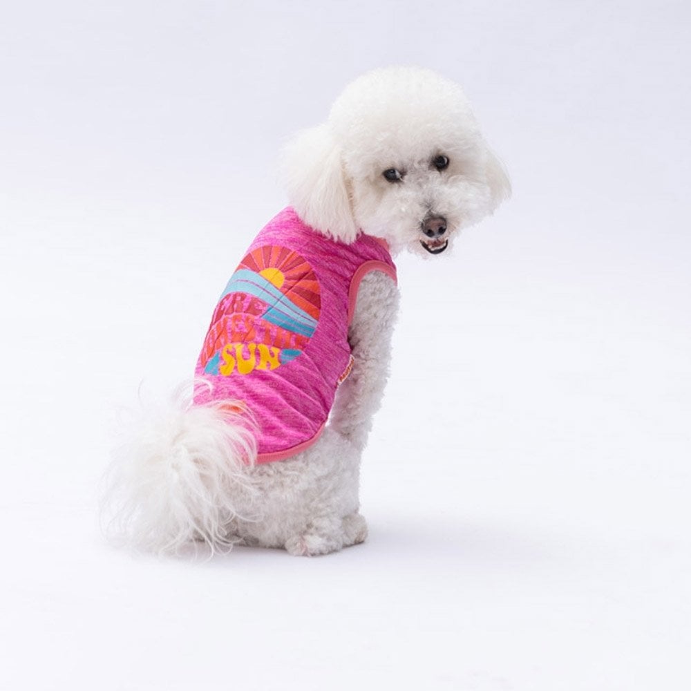 PawStar Fuşya The Sun T-Shirt Küçük Irk