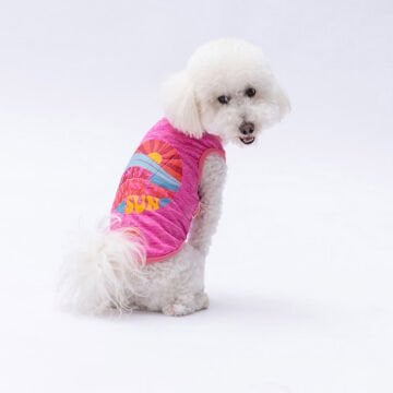 PawStar Fuşya The Sun T-Shirt Küçük Irk