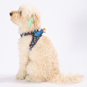 PawStar  Airmesh Dino Göğüs Tasması