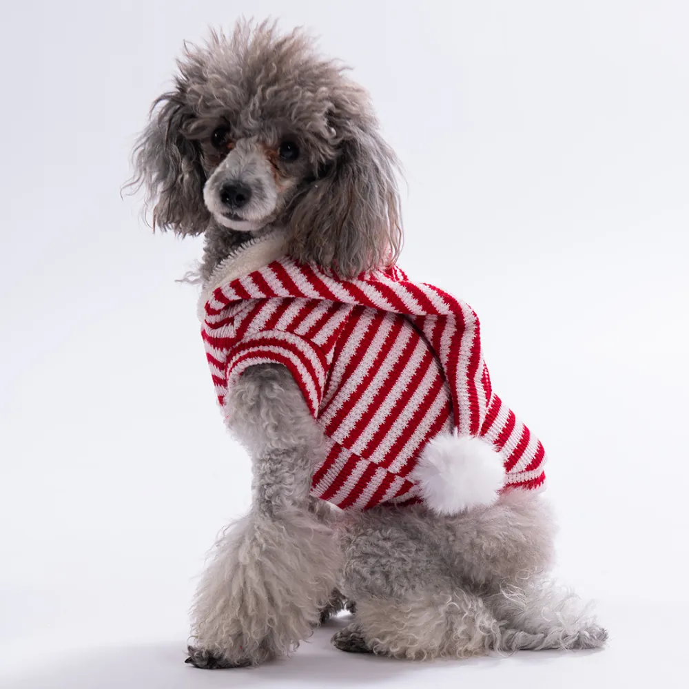 PawStar  25732-Candy Cane Yelek Sweat