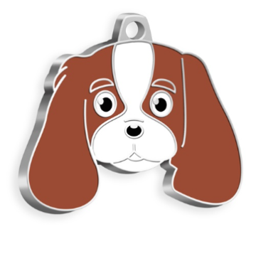 Cavalier King Charles Köpek Künyesi