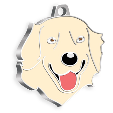 Krem Golden Retriever Köpek Künyesi